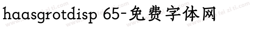 haasgrotdisp 65字体转换